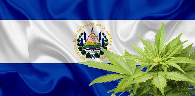 Marijuana in El Salvador