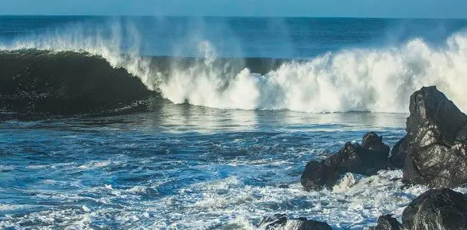 Las Flores beach in El Salvador.