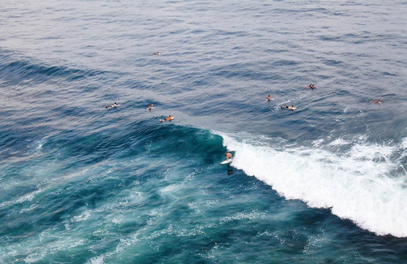 Surfing in El Salvador